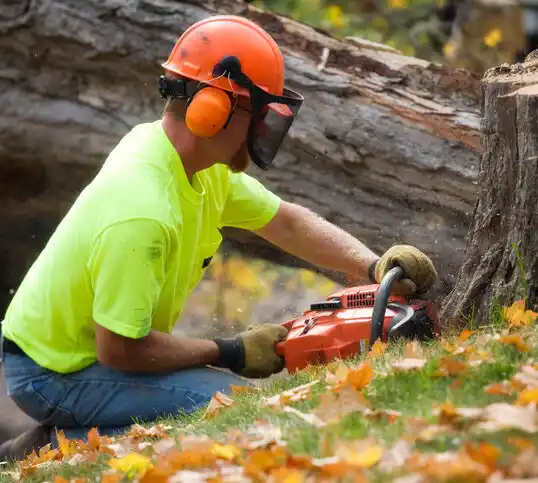 tree services Cimarron